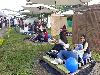 Pereira 1