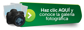 Haz clic AQU� y conoce la galer�a fotogr�fica