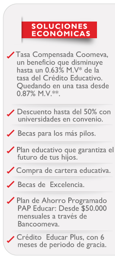 Soluciones Econ�micas